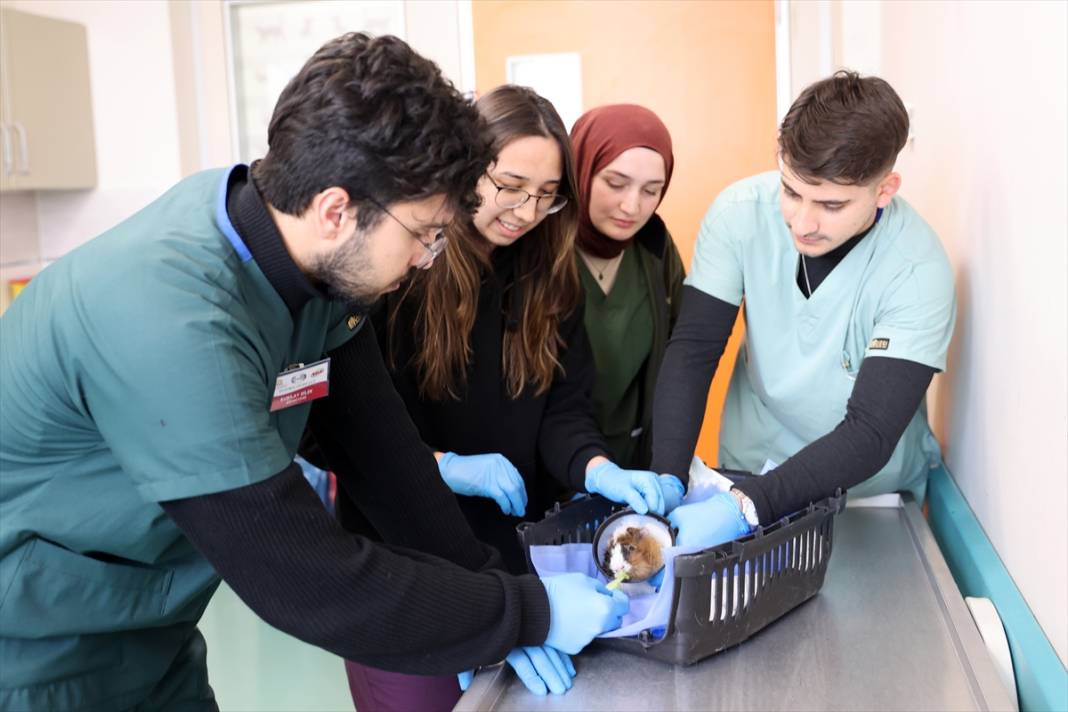 Selçuk Üniversitesi sektörde en çok aranan isimleri yetiştiriyor 3
